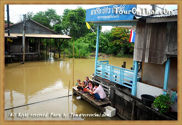 ปล่อยเต่าปล่อยหอย