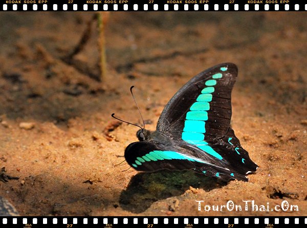 อุทยานแห่งชาติปางสีดา