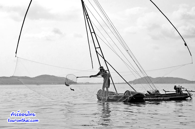 หาดกระเสียว