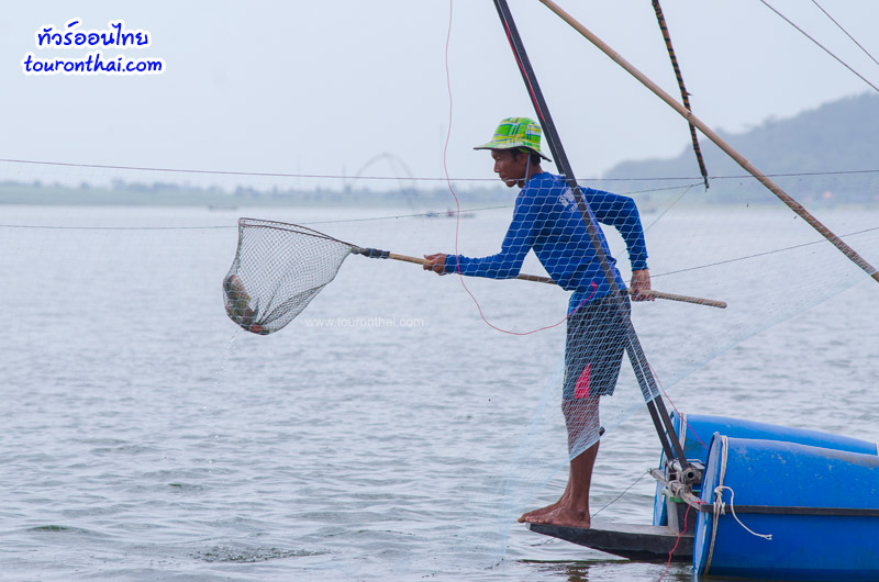 หาดกระเสียว