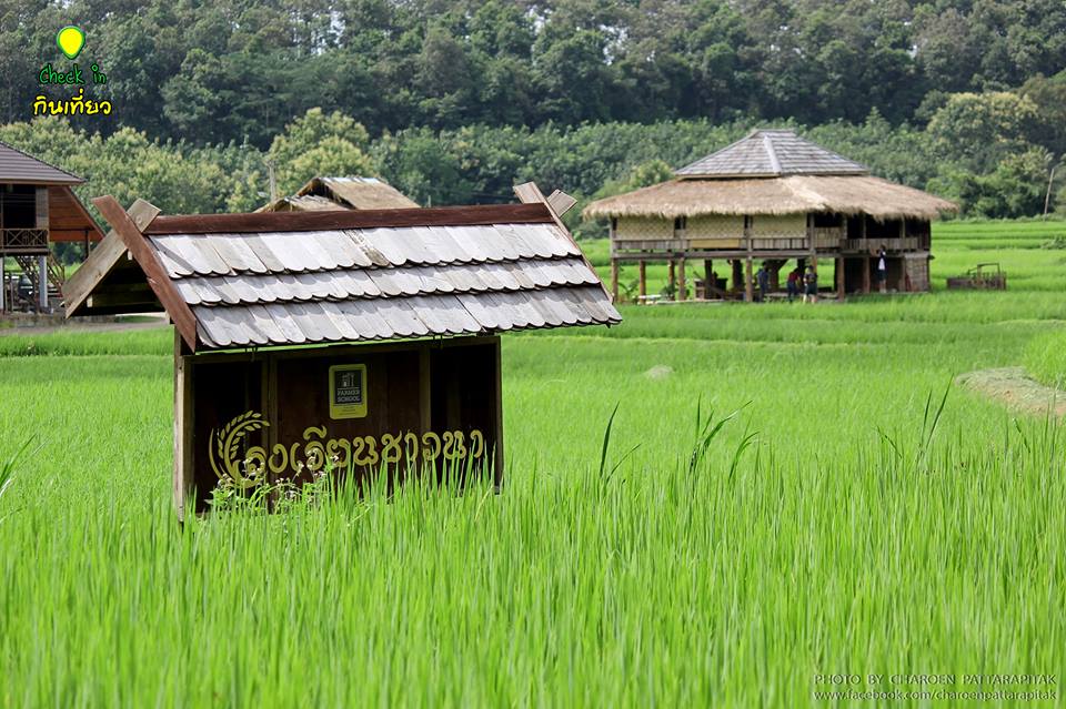 โรงเรียนชาวนา ตำบลศิลาเพชร