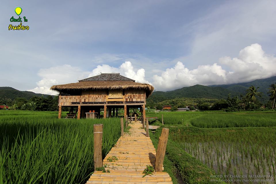โรงเรียนชาวนา ตำบลศิลาเพชร