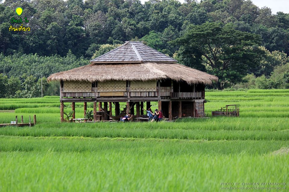 โรงเรียนชาวนา ตำบลศิลาเพชร