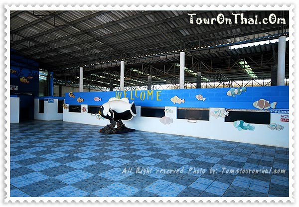 ทางเข้าเพอคูล่าฟาร์ม