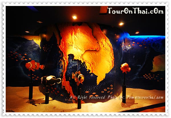 ปลาการ์ตูนในประเทศไทย