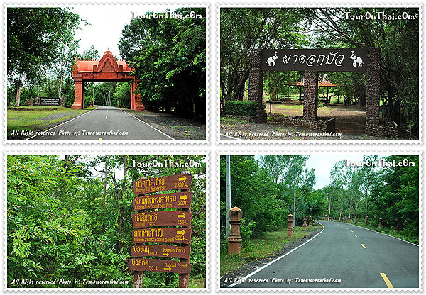 ทางเข้าวนอุทยานพนมสวาย