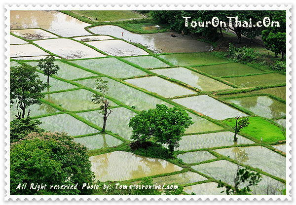 วิวสวยพนมเปร๊าะ