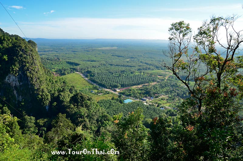 ชมวิวระหว่างทาง