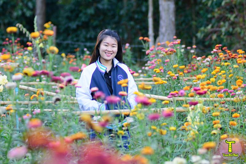 Update รูปภาพข้อมูล โครงการพัฒนาป่าไม้ ตามแนวพระราชดำริภูหินร่องกล้า
