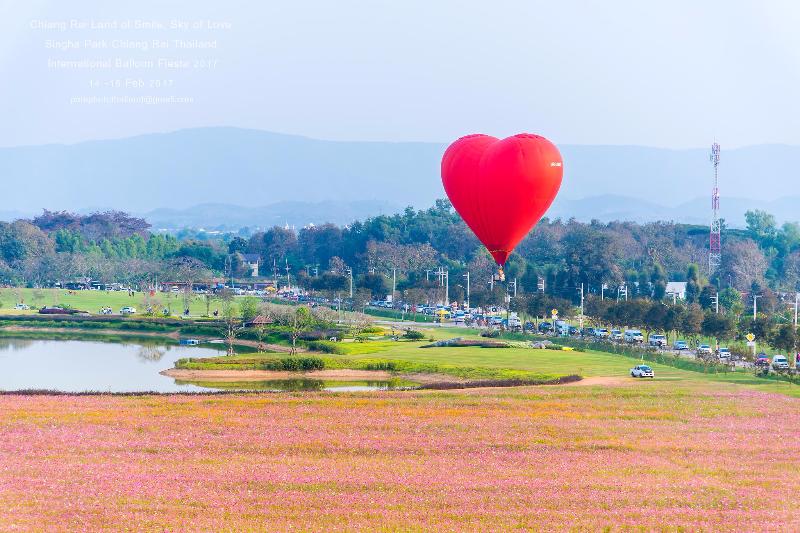 Chiang Rai : Land of Smile, Sky of Love ณ. ไร่สิงห์ ปาร์ค เชียงราย