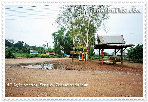 Thung Salaeng Luang National Park (Nong Mae Na),อุทยานแห่งชาติทุ่งแสลงหลวง (หนองแม่นา) เพชรบูรณ์