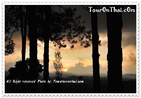 Thung Salaeng Luang National Park (Nong Mae Na),อุทยานแห่งชาติทุ่งแสลงหลวง (หนองแม่นา) เพชรบูรณ์