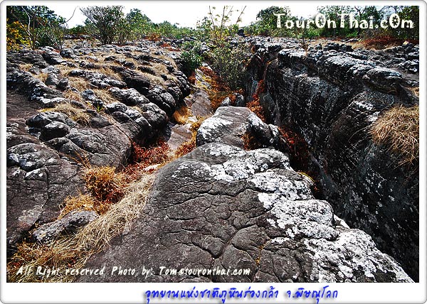 Phu Hin Rong Kla National Park,อุทยานแห่งชาติภูหินร่องกล้า พิษณุโลก