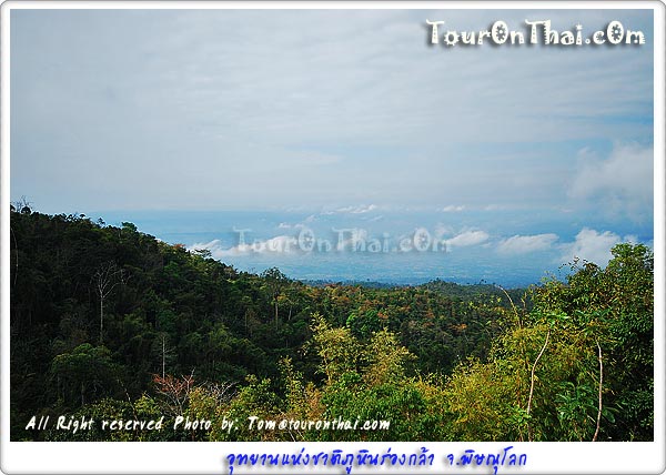Phu Hin Rong Kla National Park,อุทยานแห่งชาติภูหินร่องกล้า พิษณุโลก