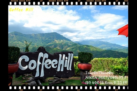 Coffee Hill คอฟฟี่ฮิล สวรรค์ร้านกาแฟ