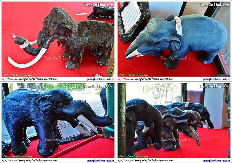 Evolution of elephants.