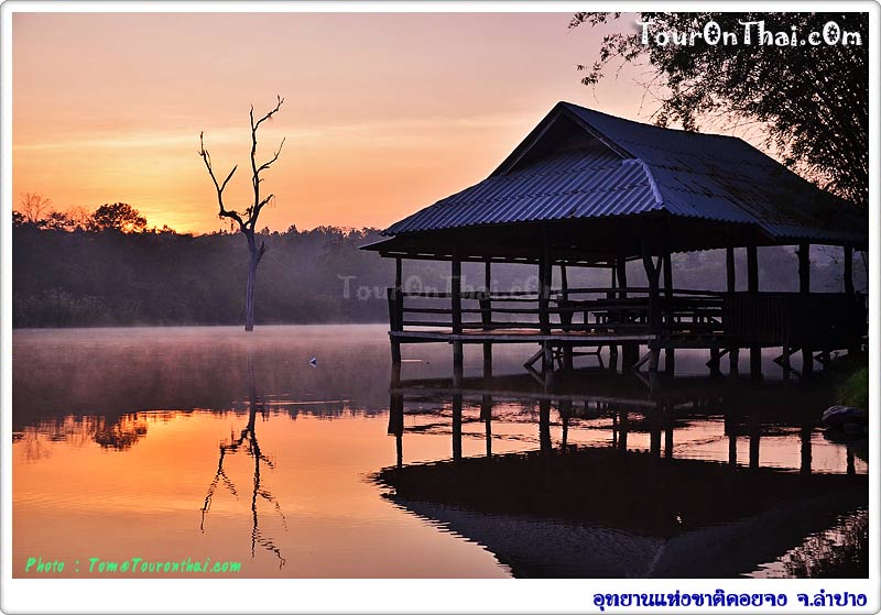 Doi Chong National Park,อุทยานแห่งชาติดอยจง ลำปาง