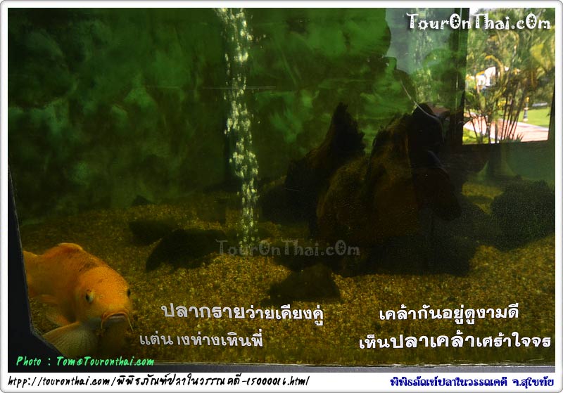 Phiphitthaphan Pla Nai Wannakhadi Chaloemphrakiat,พิพิธภัณฑ์ปลาในวรรณคดีเฉลิมพระเกียรติ สุโขทัย