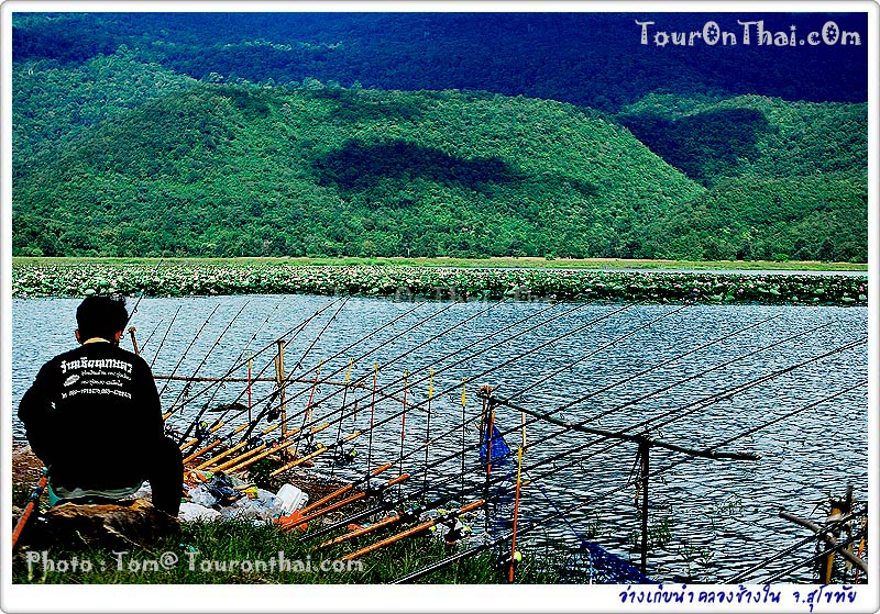 Tha Din Daeng Reservoir