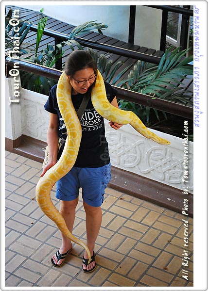 Snake Farm,สวนงูสภากาชาดไทย กรุงเทพมหานคร