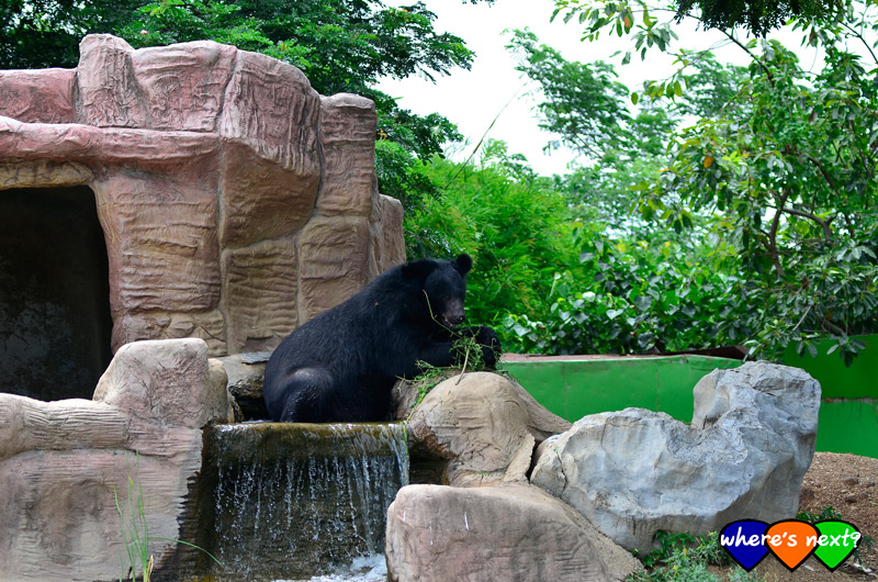 สวนสัตว์เปิดซาฟารีปาร์ค กาญจนบุรี