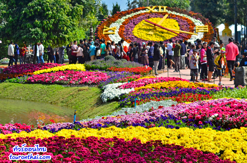 Chiang Rai Asian Flower Festival,งานมหกรรมไม้ดอกอาเซียน เชียงราย