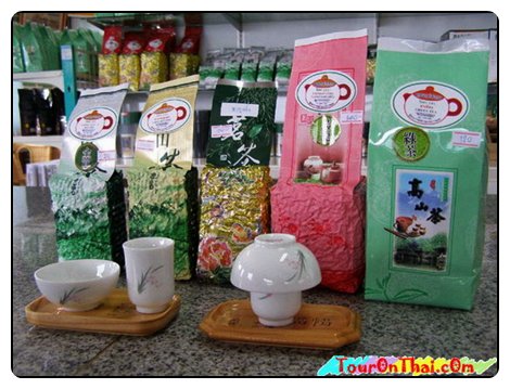 101 Tea Plantation, Mae Salong