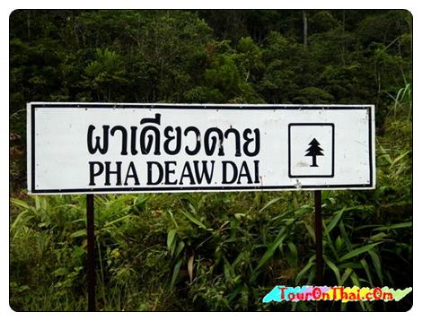 Pha Dieo Dai Viewpoint,ผาเดียวดาย นครนายก