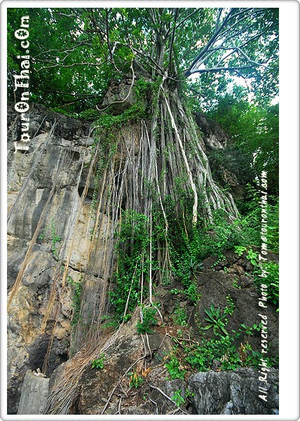 Wat Tham Khao Mai Ruak,วัดถ้ำเขาไม้รวก ประจวบคีรีขันธ์