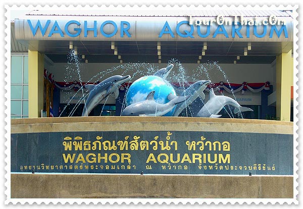 Waghor Aquarium,พิพิธภัณฑ์สัตว์น้ำหว้ากอ ประจวบคีรีขันธ์