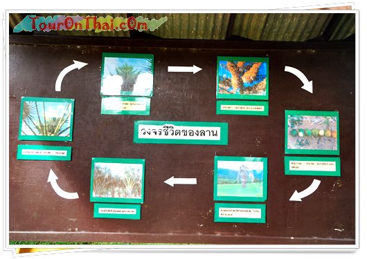Thap Lan National Park