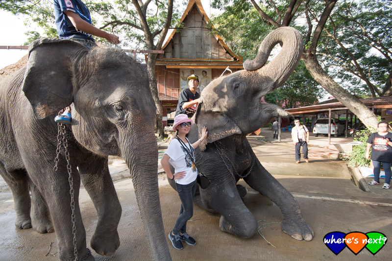Ayutthaya Elephant Kraal Pavilion,พระที่นั่งเพนียด พระนครศรีอยุธยา