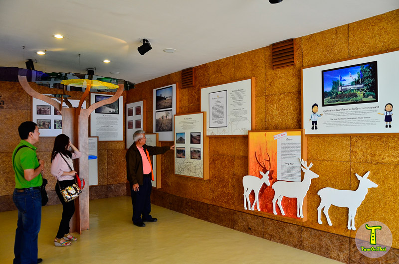 Sirindhorn International Environmental Park,อุทยานสิ่งแวดล้อมนานาชาติสิรินธร เพชรบุรี
