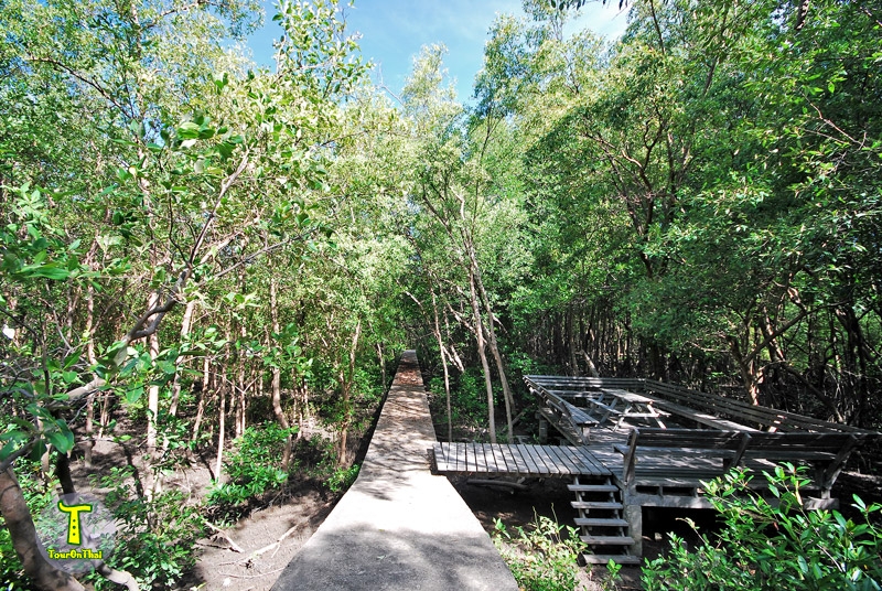Bang Tabun Mangrove,ศูนย์อนุรักษ์และศึกษาระบบนิเวศป่าชายเลน บางตะบูนวิทยา