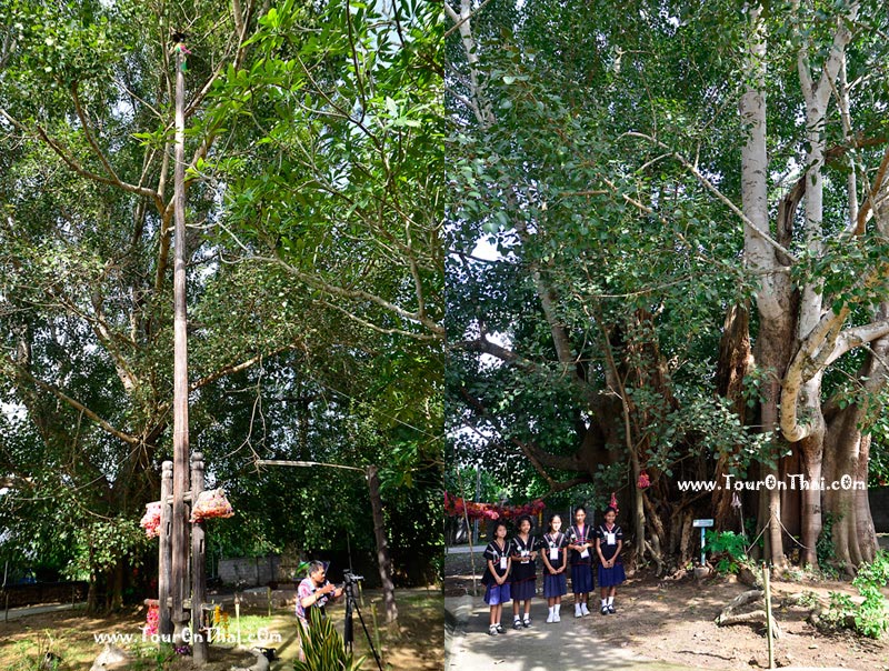 Ban Yang Nam Klat Tai (Karen village),หมู่บ้านผ้าทอกะเหรี่ยง เพชรบุรี