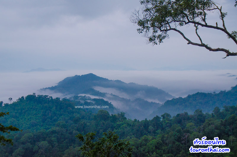 Kaeng Krachan National Park,อุทยานแห่งชาติแก่งกระจาน เพชรบุรี