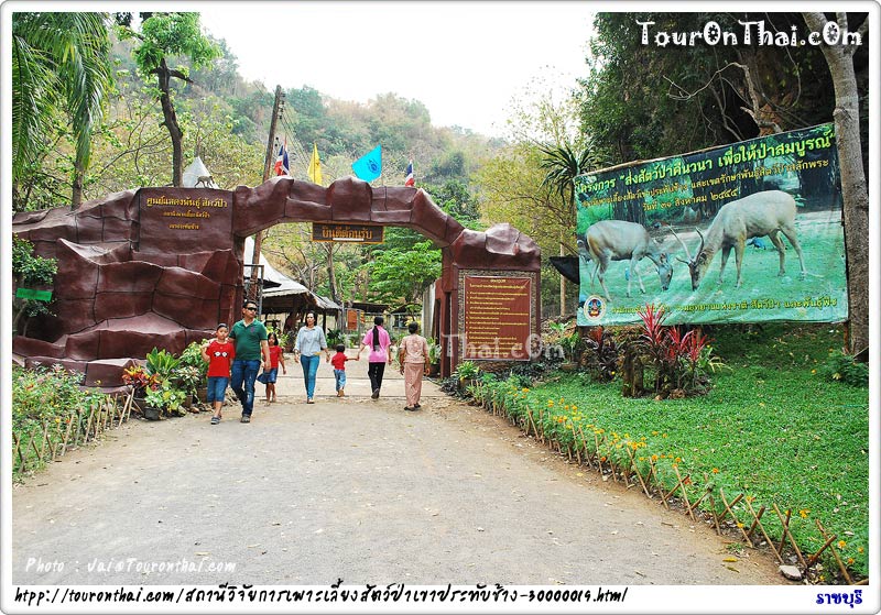 สวนสัตว์เปิด เขาประทับช้าง ราชบุรี
