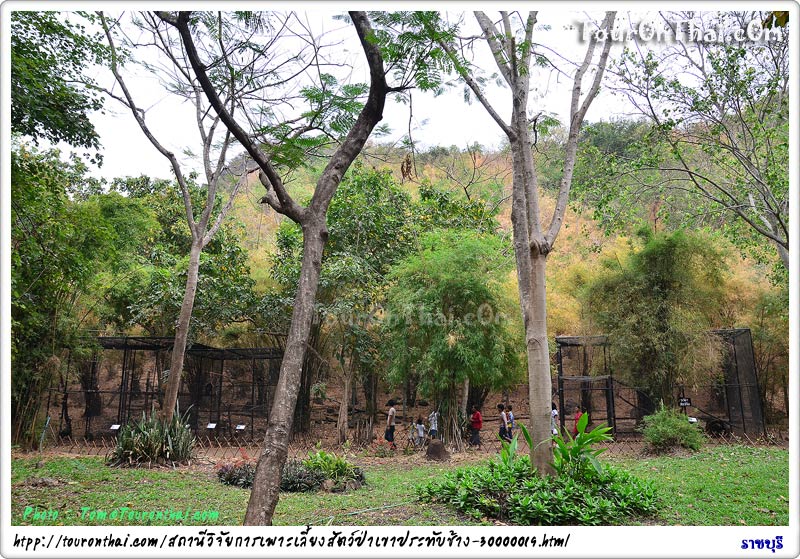 Khao Pratub Chang Open Zoo,สวนสัตว์เปิด เขาประทับช้าง ราชบุรี