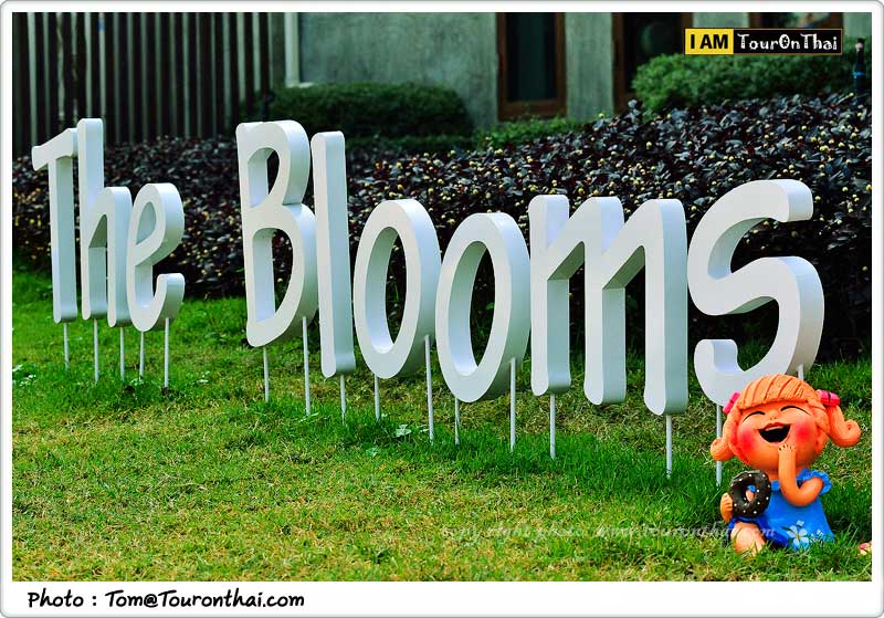 ยินดีต้อนรับสู่ The Blooms