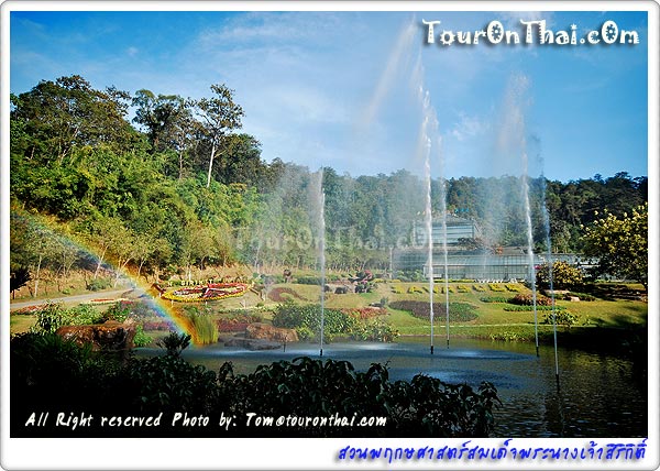 Queen Sirikit Botanic Garden,สวนพฤกษศาสตร์สมเด็จพระนางเจ้าสิริกิติ์ เชียงใหม่