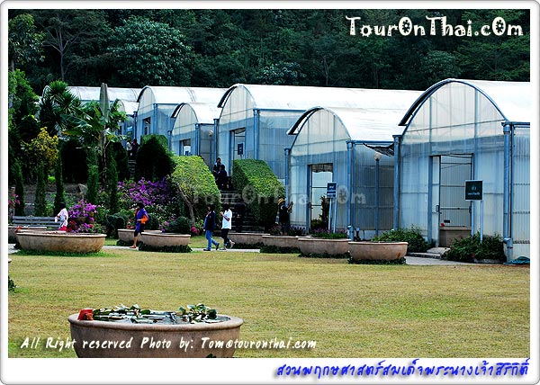 Queen Sirikit Botanic Garden,สวนพฤกษศาสตร์สมเด็จพระนางเจ้าสิริกิติ์ เชียงใหม่