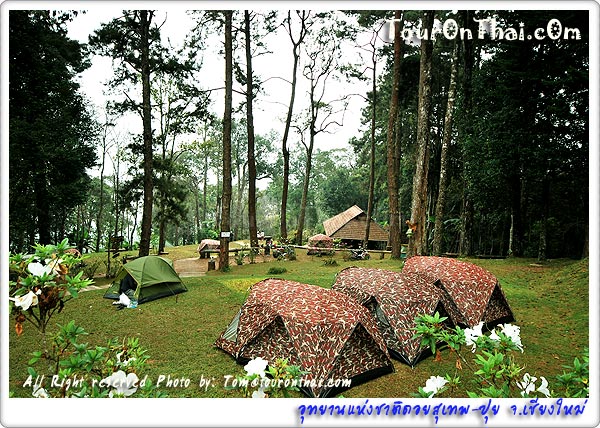 Doi Suthep-Pui National Park,อุทยานแห่งชาติดอยสุเทพ-ปุย เชียงใหม่