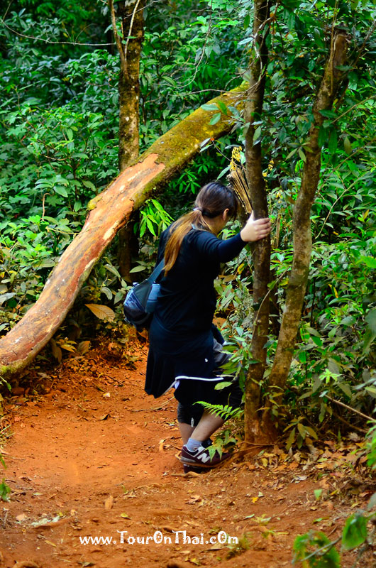Doi Mon Chong Hiking Trail