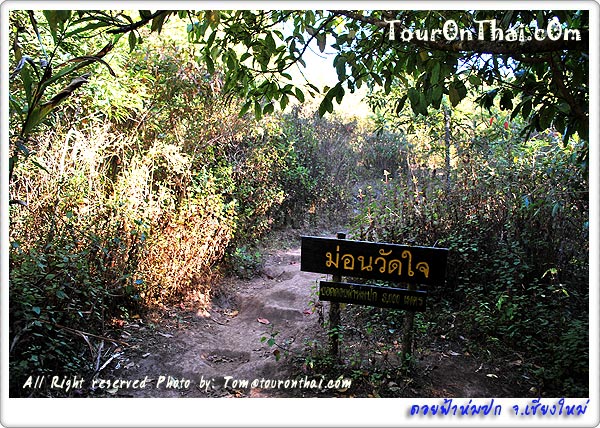 Doi Pha Hom Pok National Park,อุทยานแห่งชาติดอยฟ้าห่มปก เชียงใหม่