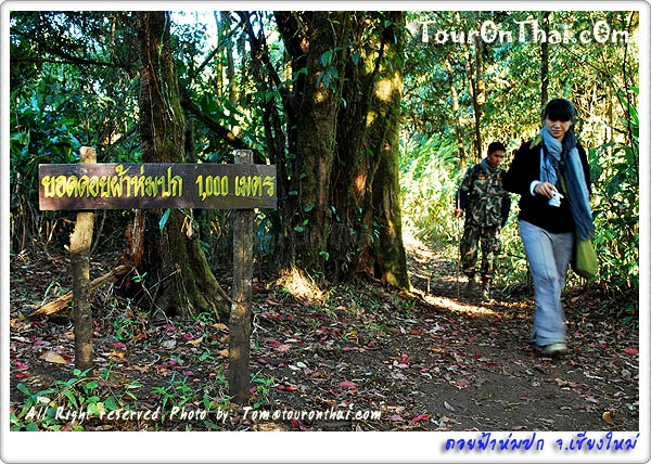 Doi Pha Hom Pok National Park,อุทยานแห่งชาติดอยฟ้าห่มปก เชียงใหม่