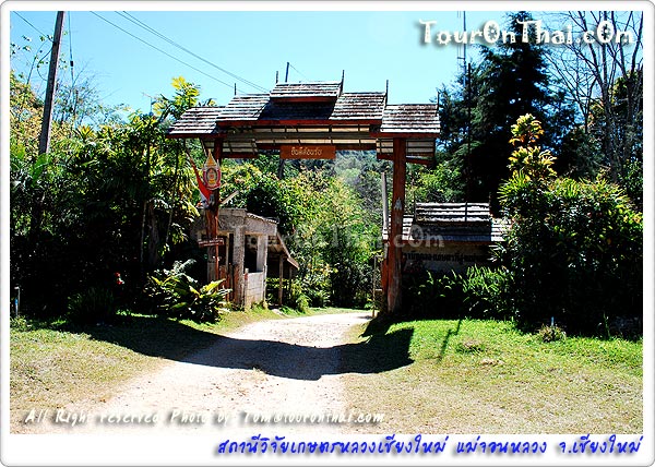 Mae Chon Luang Agricultural Experiment Station,สถานีทดลองเกษตรที่สูงแม่จอนหลวง เชียงใหม่