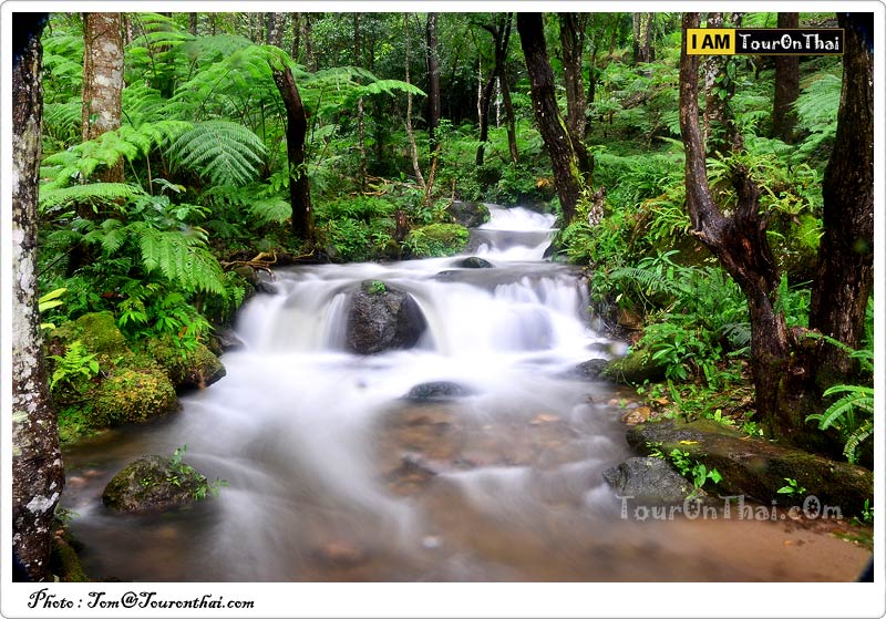 Siriphum Waterfall - Doi Inthanon,น้ำตกสิริภูมิ เชียงใหม่