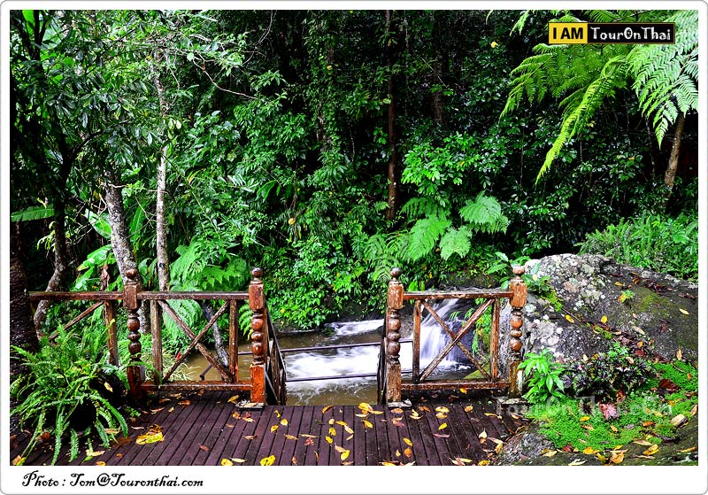 Siriphum Waterfall - Doi Inthanon,น้ำตกสิริภูมิ เชียงใหม่