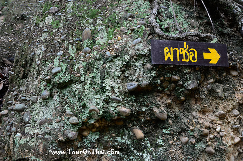 Pha Chor - Mae Wang National Park