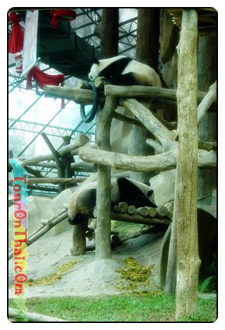 Chiang Mai Zoo,สวนสัตว์เชียงใหม่